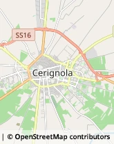 Imprese Edili Cerignola,71042Foggia