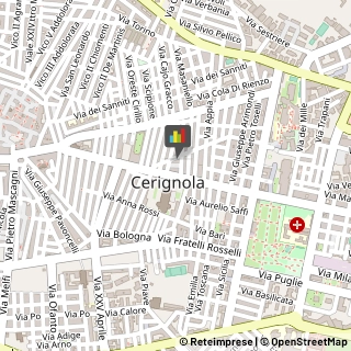 Calzature - Dettaglio,71042Foggia