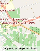 Profumerie Cerignola,71042Foggia