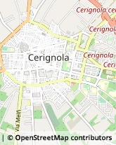 Macellerie Cerignola,71042Foggia