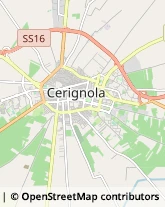 Macellerie Cerignola,71042Foggia