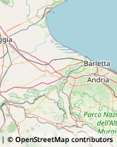 Consulenza del Lavoro Canosa di Puglia,76012Barletta-Andria-Trani