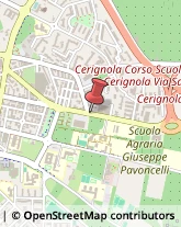 Corso Scuola Agraria, 3,71042Cerignola