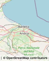 Nettezza Urbana - Servizio Canosa di Puglia,70053Barletta-Andria-Trani