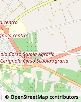 Falegnami Cerignola,71042Foggia