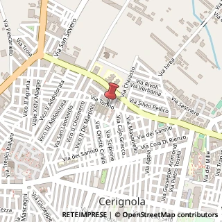 Mappa Via Torino,  49, 71042 Cerignola, Foggia (Puglia)
