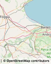 Autotrasporti San Ferdinando di Puglia,71046Barletta-Andria-Trani