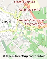 Autotrasporti Cerignola,71042Foggia