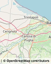 Articoli per Ortopedia Canosa di Puglia,76012Barletta-Andria-Trani