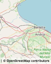 Articoli per Ortopedia San Ferdinando di Puglia,76017Barletta-Andria-Trani