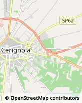 Alimentari Cerignola,71042Foggia