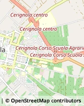 Alimentari Cerignola,71100Foggia