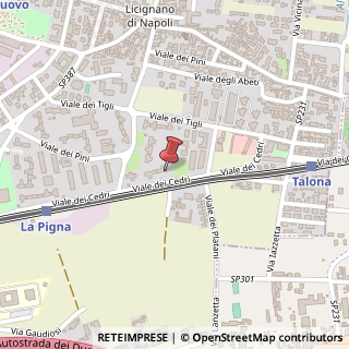 Mappa Viale dei Cedri, 16, 80013 Casalnuovo di Napoli, Napoli (Campania)