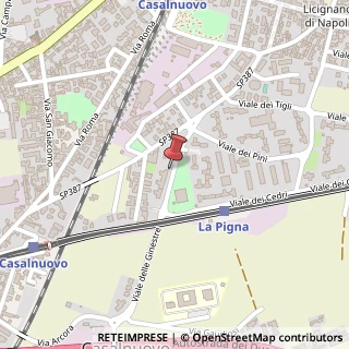 Mappa Viale delle Ginestre, 8, 80030 Casalnuovo di Napoli, Napoli (Campania)