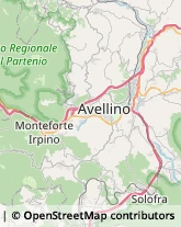 Aziende Agricole Avellino,83100Avellino