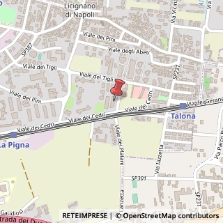 Mappa Viale dei Platani, 2, 80013 Casalnuovo di Napoli, Napoli (Campania)