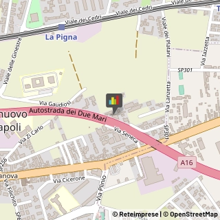Feste - Organizzazione e Servizi,80013Napoli