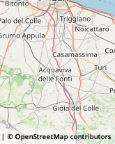 Assicurazioni Adelfia,70010Bari