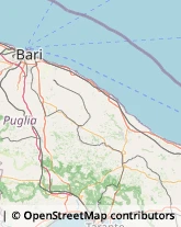 Asili Nido Gioia del Colle,70023Bari