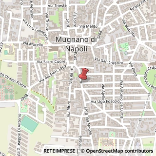 Mappa Via Napoli,  46, 80018 Mugnano di Napoli, Napoli (Campania)