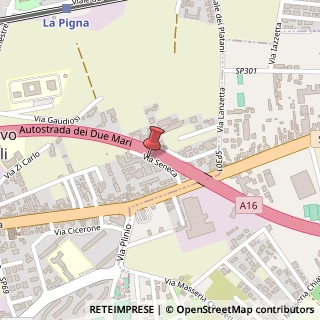 Mappa Via Seneca, 41, 80013 Casalnuovo di Napoli, Napoli (Campania)