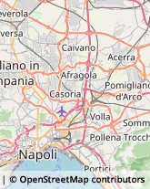 Aziende Agricole Casalnuovo di Napoli,80013Napoli