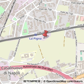 Mappa 80013, Casalnuovo di Napoli NA, Italia, 80013 Casalnuovo di Napoli, Napoli (Campania)