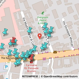Mappa Via Madre Teresa di Calcutta, 80013 Casalnuovo di Napoli NA, Italia (0.075)