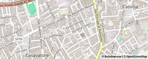 Mappa Casoria