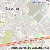 Kart Casoria