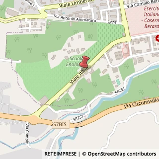 Mappa Viale Italia, 77, 83100 Avella, Avellino (Campania)