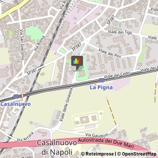 Consulenza Commerciale,80013Napoli