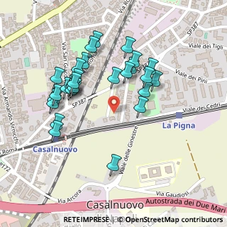Mappa Via P. Borsellino, 80013 Casalnuovo di Napoli NA, Italia (0.23929)