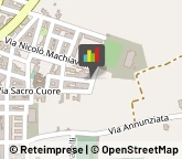 Agenti e Rappresentanti di Commercio,70021Bari