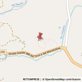 Mappa Strada Statale 388 del Tirso e del Mandrolisai, 6, 08038 Sorgono, Nuoro (Sardegna)