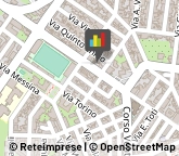 Piante e Fiori - Dettaglio,73042Lecce