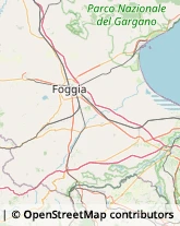 Avvocati Foggia,71100Foggia