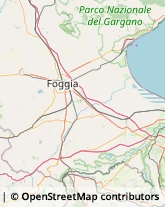 Alimentari Foggia,71100Foggia