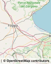 Ortofrutticoltura Foggia,71121Foggia