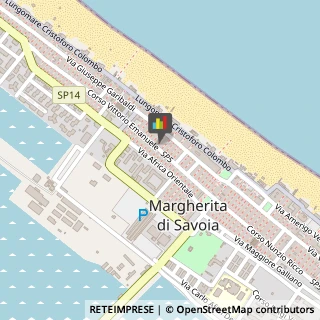 Articoli da Regalo - Dettaglio Margherita di Savoia,76016Barletta-Andria-Trani