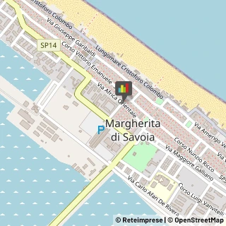 Ortopedia e Traumatologia - Medici Specialisti,71044Barletta-Andria-Trani