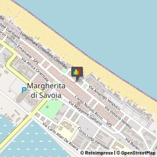 Piante e Fiori - Dettaglio Margherita di Savoia,76016Barletta-Andria-Trani