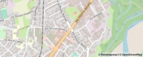 Mappa Belluno