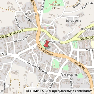Mappa Via Nazionale, 42, 33019 Tricesimo, Udine (Friuli-Venezia Giulia)