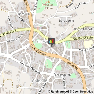 Osteopatia Tricesimo,33019Udine