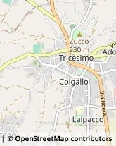 Agenzie Immobiliari Cassacco,33010Udine