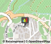 Consulenza Informatica Giovo,38030Trento