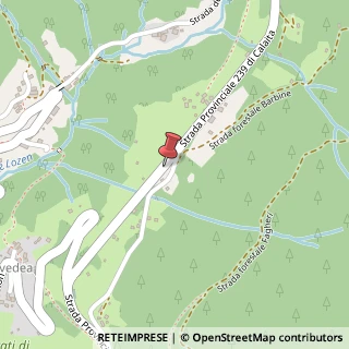 Mappa Località Revedea, 45, 38050 Canal San Bovo, Trento (Trentino-Alto Adige)