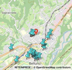 Mappa Via Bortolo Castellani, 32100 Belluno BL, Italia (0.98053)