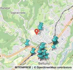 Mappa Via G, 32100 Belluno BL, Italia (1.0355)